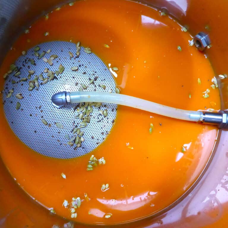 Carrot and cardamom Gut Feelings kombucha in stainless steel brewing vessel
